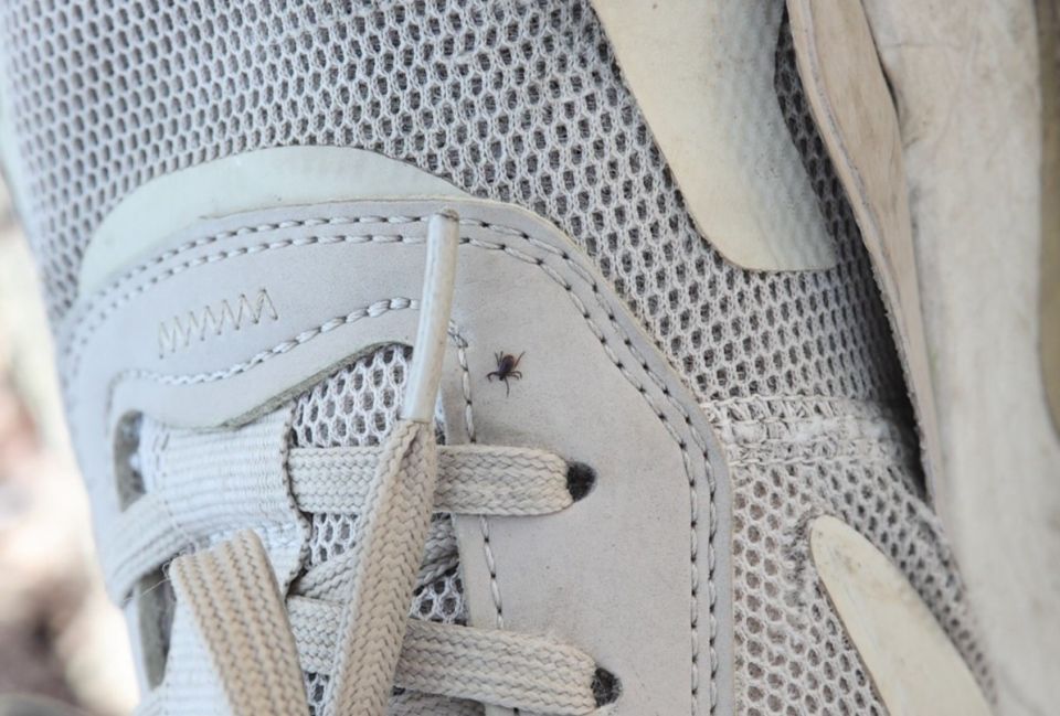 � ����������� ���������� ������� ���������� ��� ��������� ������ �� ������