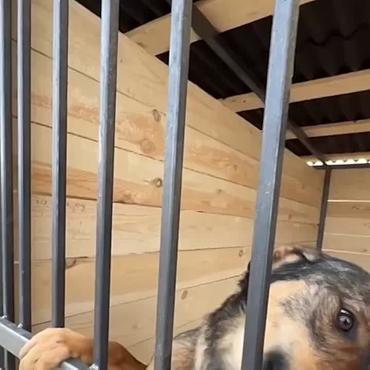 ���� �� ����� ����� ������ � ����������� ���������� ����� � ���� ���