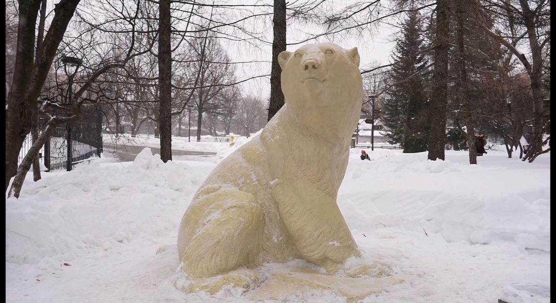 Белому медведю Диксону установили памятник в московском зоопарке