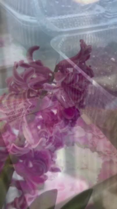 �� ����� �����, � � ��� � �������� � �����: �������� ������, ������� ������� � ������