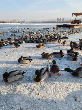 ������ ����!. #���������������