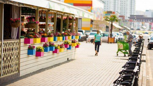 �������������� ����������� ��������� ��������� ���������