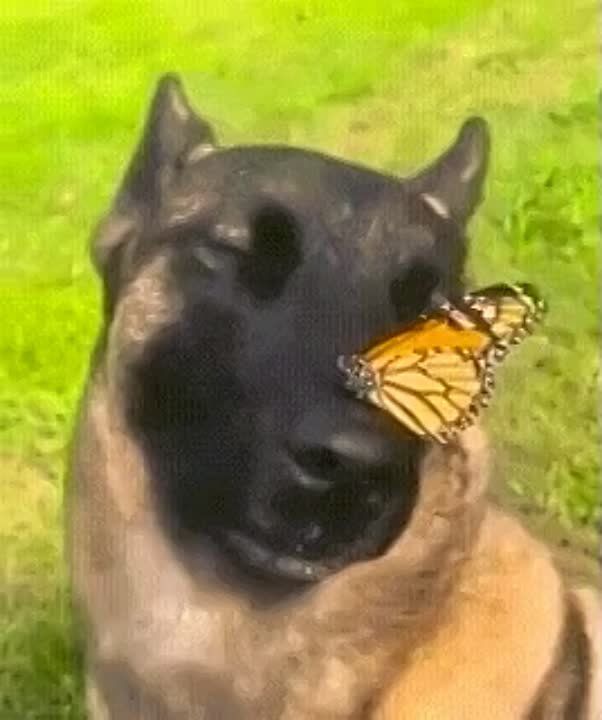 ������ ����!. ������������! ����������� ����� �������-�� ��������� � ���� �����