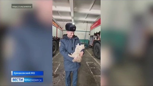 В Ермаковском округе выбрали имя для необычного сотрудника МЧС