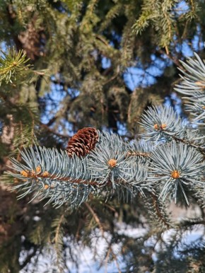 ������ ����!. #���������������