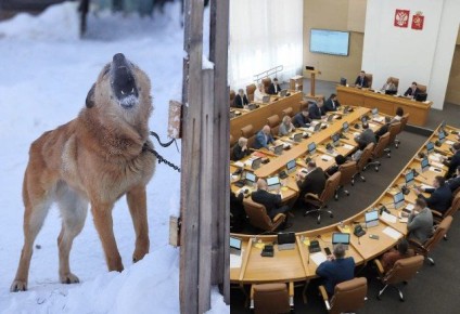 ������� �� ����� ��������� �������� ��������� � ����������� ����� � 2 ����