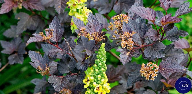 ��������� ��������: ������� �������� ������������ ����