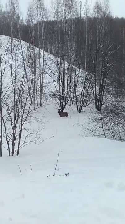 � ������������ ������ ����� ������ ����� ����� � ������