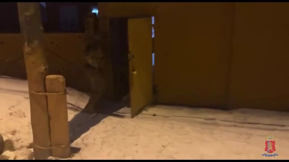 � ����������� ����������� ������� ����������� ����������� � ����� �� ������������ ������������ ������