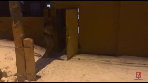 � ����������� ����������� ������� ����������� ����������� � ����� �� ������������ ������������ ������