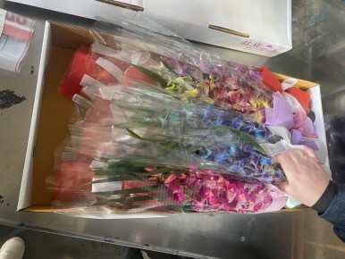 � 8 ����� � ���������� �� �������� �������� ����� 48 ����� �������