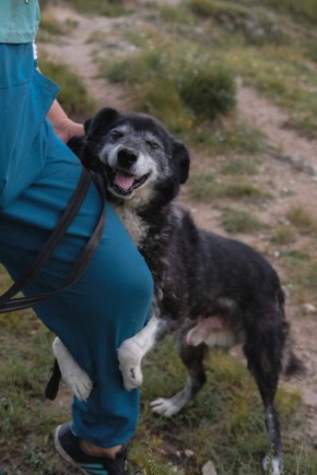 ������� ������!. ��������� ��� �� ������ ������, ������ � �������. ��������� �� ������ � ������ 4 ����� �������� � 16:00. � ������ ���������, 7. � �������� � ��������. ������� �����. ����� � ������� �� ������. ������ �����...