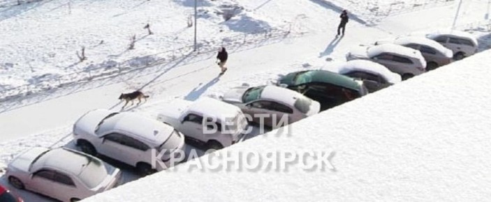 ������ ������������� ������ ����� ���� �������� �� ������� ��������