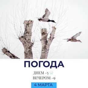 ������ �� �������. @gornovosti