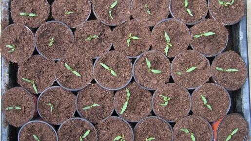 ��� ��������� �� ������ ��������: ������ ���� ��� ��������� �����