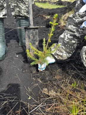 20 ����� �������� � ����������� ������� � ������������ ���� � ������ � ���������� ��������� � ���� ����