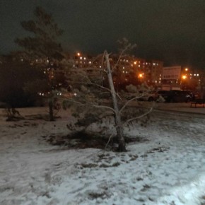 � ����������� ��������������� ��������� ����� ������� ��� ��������� ����