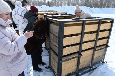 � ������������ ���� ��������� ������� � ����� �������