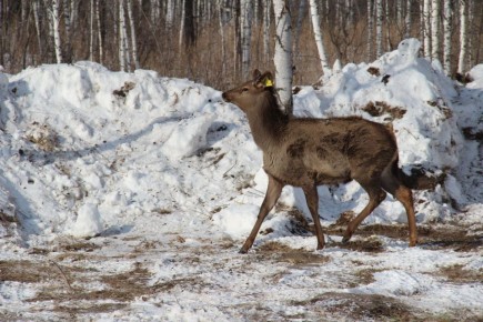 ���� ��� ������ ��� ������? �� ��������, ��������������� �����!