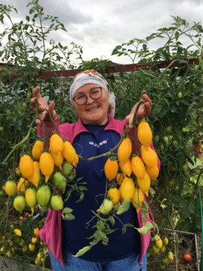 ������, 6 �����, �� ����� �������������� ������ 107,1FM � �����������