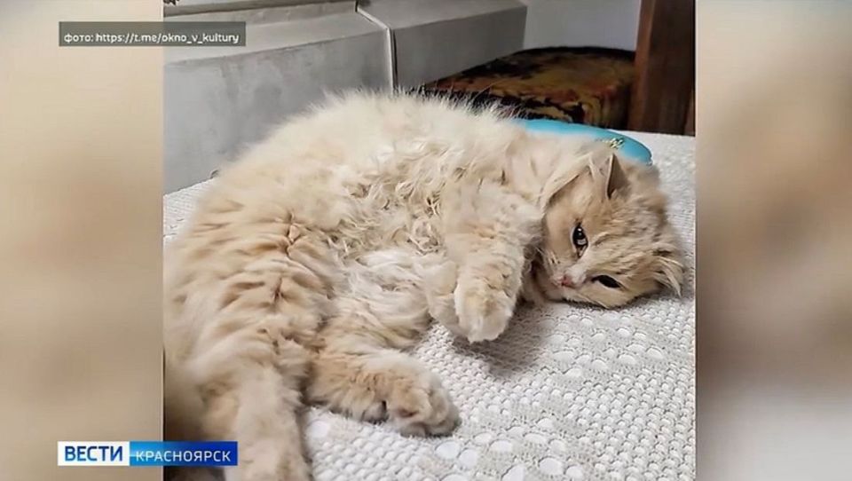 � ������������ �����-������� ������� �������� ��� 14 ��� ���� ��������� ������������� � ����� ����� �����