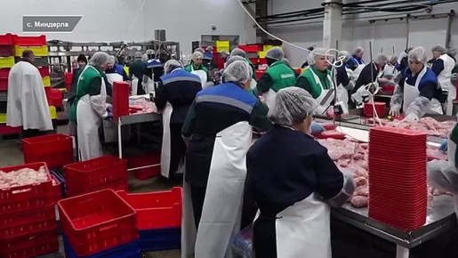 �������� �� �������� �� ������������ �����������������