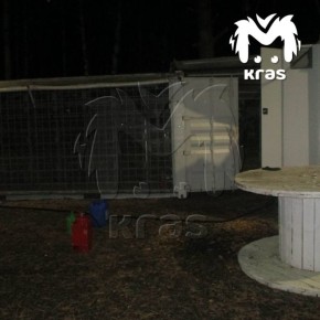 ��� �������� �������-�����, ��-�� ������� ������� ������ ����� ��� ��������� ����