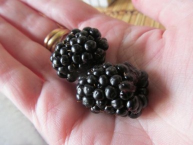 �������: ��� �������� �������� ������