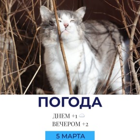 Погода на сегодня. @gornovosti