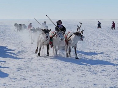 ������ ��������� � ��� ���������