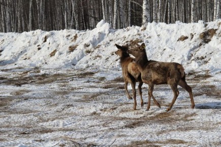 36 ������� ��������� � ����� ������� �� ��������� � ������������ ����