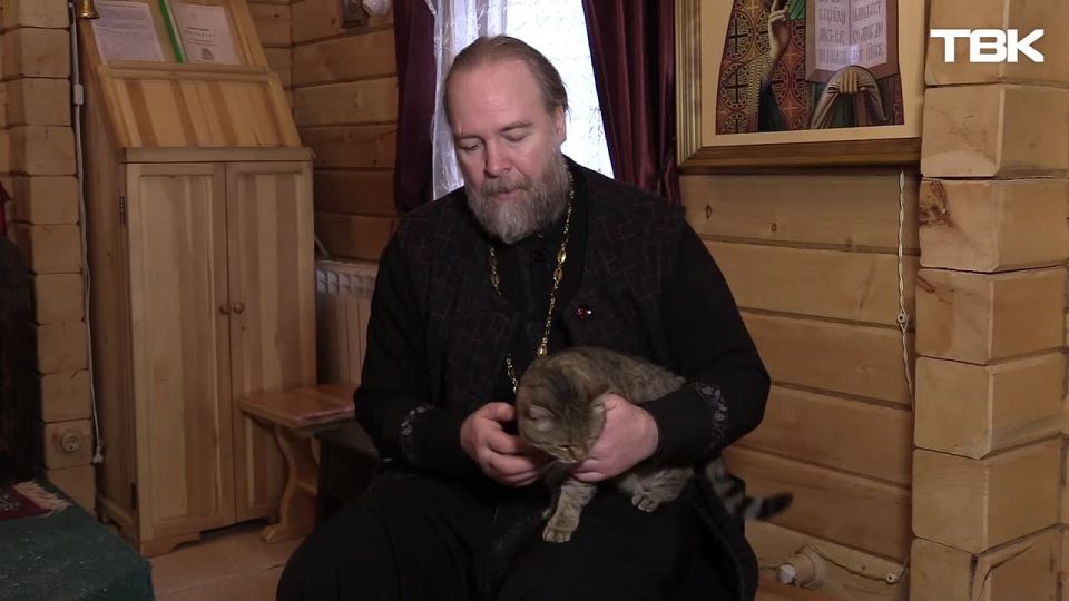 Кот-прихожанин в проекте «Не только котики»