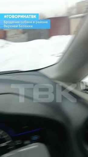 �������� ������ ������������� ������� ����������� ������� �������