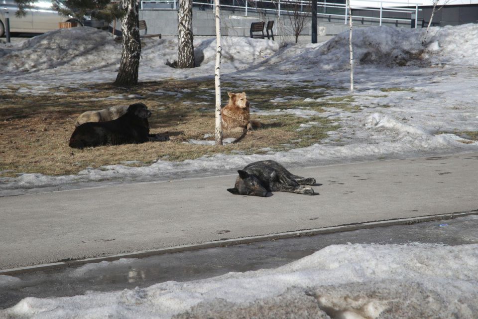 ��������� ��������� �������� � �������� ���������� ����� � ������