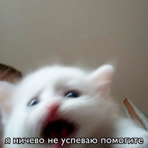 ������ ����!. �������-�� �� ��������� �� �������! ������� ����� ��� ��� ��������, � ��� ������ ���������