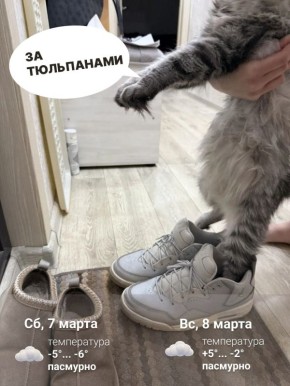 ������ ����������� ���� ��� ������� ��������� �������� �����