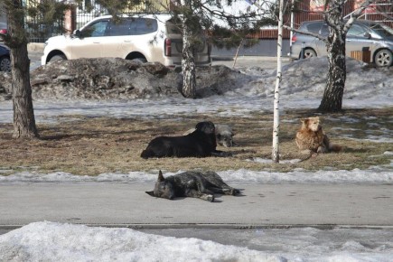 ����������� ����� � ��������� � ����: � ����������� �� ������������ �������� ������ ������ �� �������