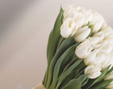 ��� ������� � ��������� �������� �� 8 ����� � ���������� ������������ �����������