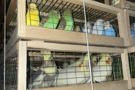 � ���������� ��������� �������� 580 ��������