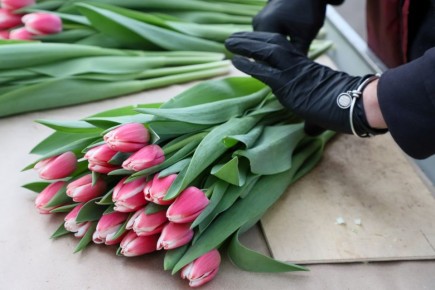 ����� �������� �� 8 �����? ���� � ������������!