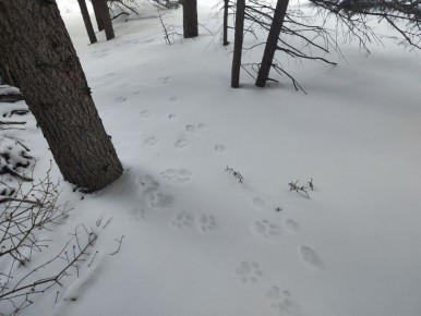 �����, ������� �����, ���� � � ���������� �����-���������� ����������� ��������� ������ ������� � ����� � ������������� ������� ������