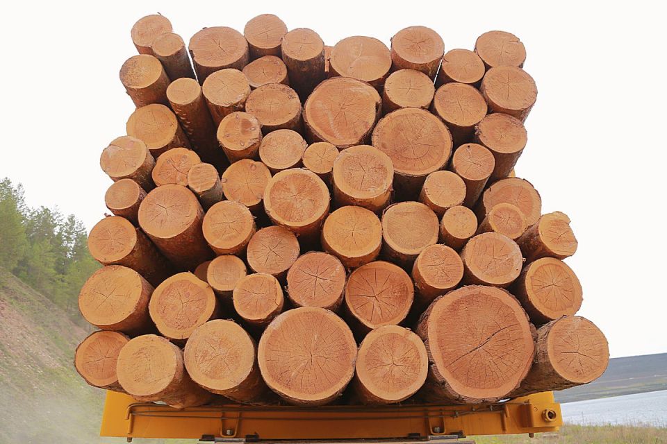 9 ������� ����� �������-���������� ������ ��������� �� ������ ������ ��������� ������� � ��������