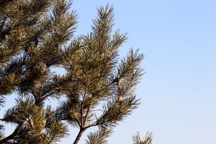 �� -9�C � ���� � ������: ����� ������ ����� �� ������� �������� � �����������