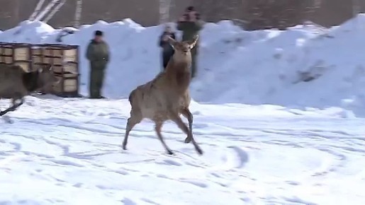 12 ������� �������. � ��������� ����� � �����������