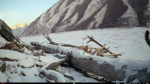 ����������� � �����-��������� ����������� ������� ����� ����� ���� � ����� ���������� ��������