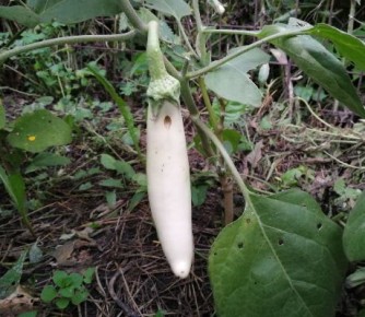 ����� ����� ������ ����������: �� �������� �� ������