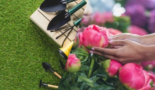 ��� ��������� ������ ����� ������: ����������� �������� ��� ���������