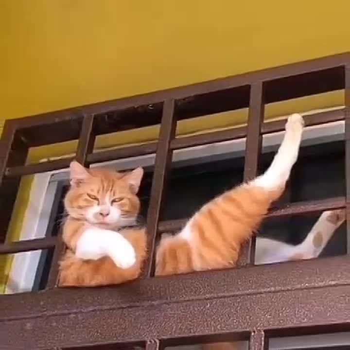 Дамы, смарта!. Мы есть и в MAX, подписывайтесь, давайте держаться вместе