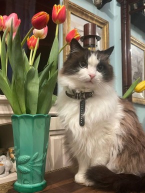 �������, � ������. ��� ������� ���������: ����� �� ����� � � ����, ����� ���� ����� ��������, �� �������� ����� � ���, ��� �������� �������, �����, ��������� ����, � �������, ����� ��� ������ ��� ������� �� ����! �� ����, ��...