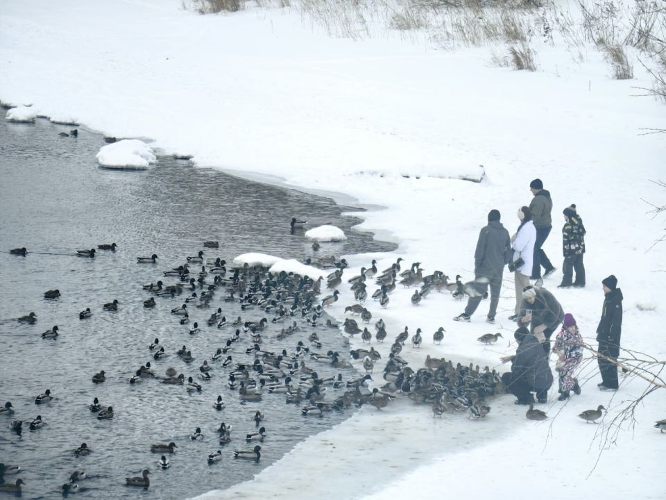 �� +6�C � -18�C: ������� ������ �� ������ � �����������